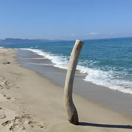 Sa Suttea Il Mirto *